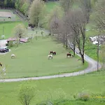 Waldoase Am Fuchsenstein * Spiegelau