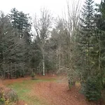 Waldoase Am Fuchsenstein