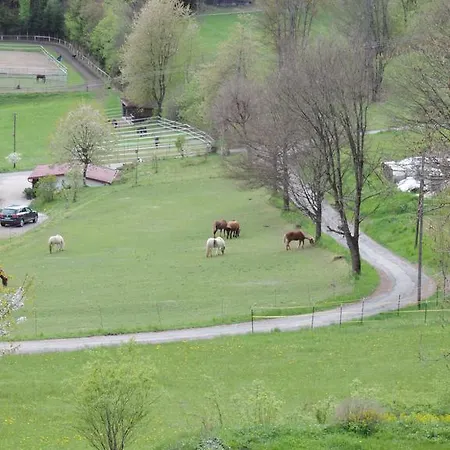 Waldoase Am Fuchsenstein * شبيغيلاو